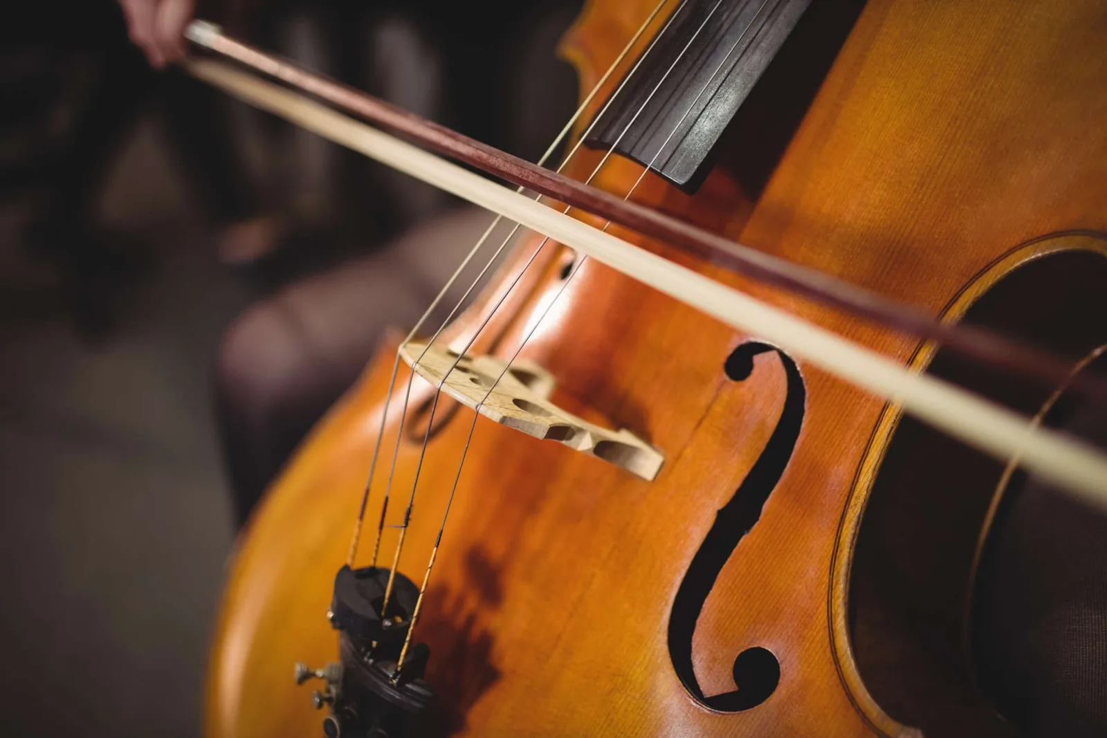 Cello Lessons in Dresden – TS | Talent School