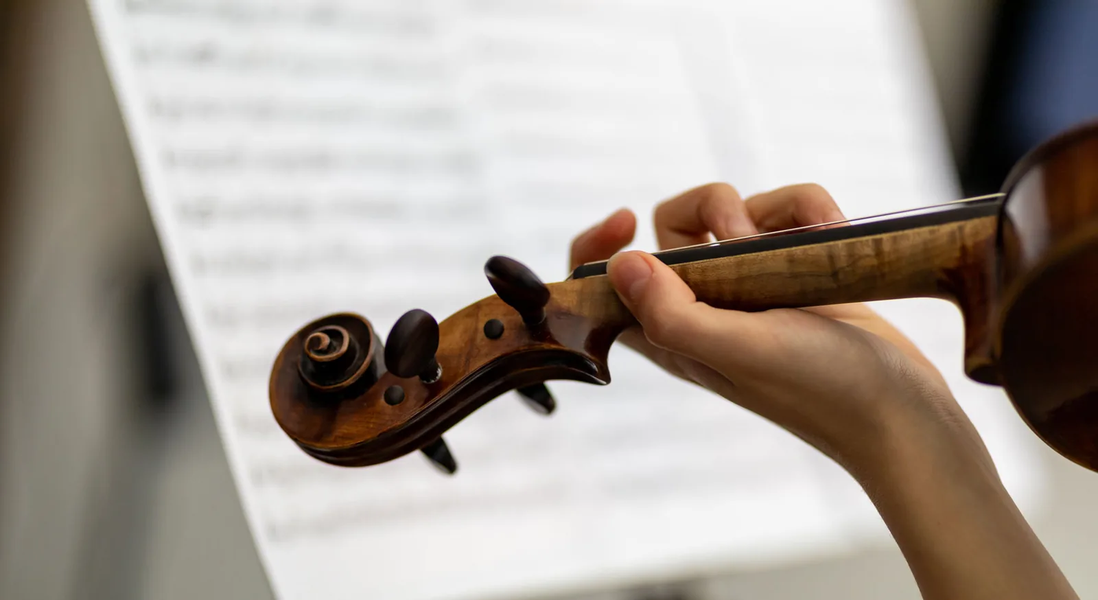 Violin Lessons in Dresden – TS | Talent School