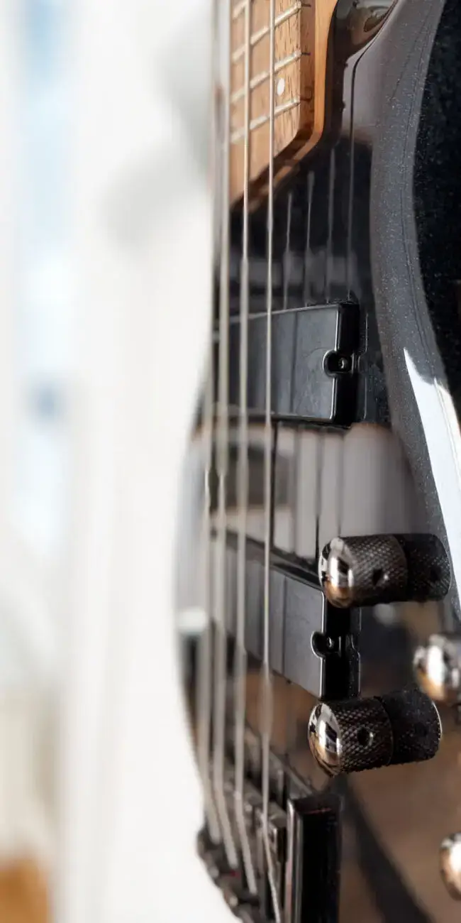TS_Bass