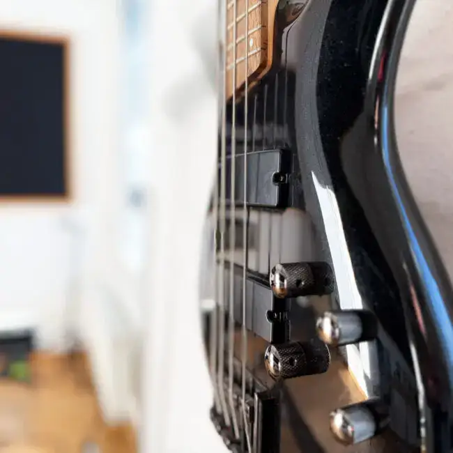 TS_Bass